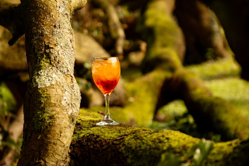 Beautifully presented cocktails on the Solton Manor Estate wedding venue in Kent, near Dover and Deal, England